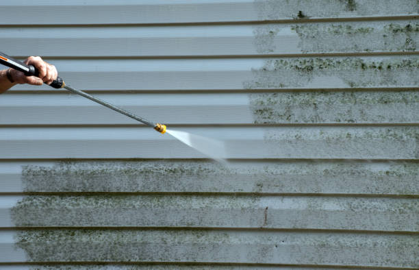 Best Exterior Home Cleaning  in Madison Heights, MI