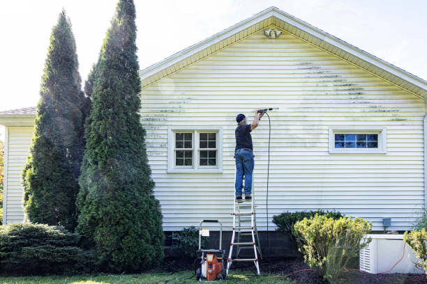 Professional Pressure Washing in Madison Heights, MI